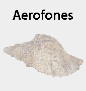 aerofones